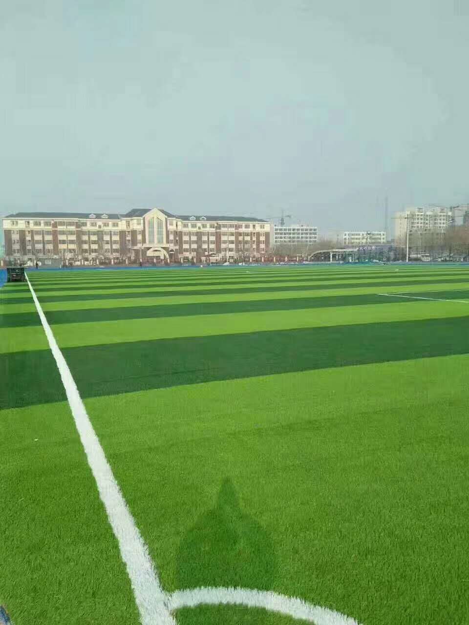 临沂市渗水跑道仿真草坪 - 价格